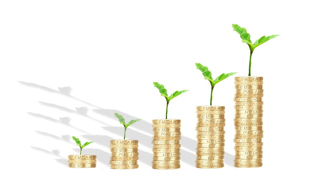Commercial Real estate loans